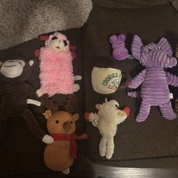 Dog Toys