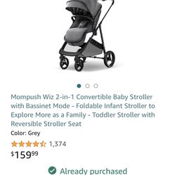 Mom push 2 In 1 Stroller 