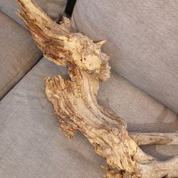 DRIFTWOOD/ FISH/ REPTILES/ TERRARIUMS