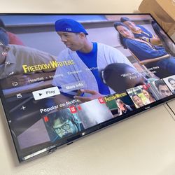 51” TV