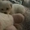 Jenny 