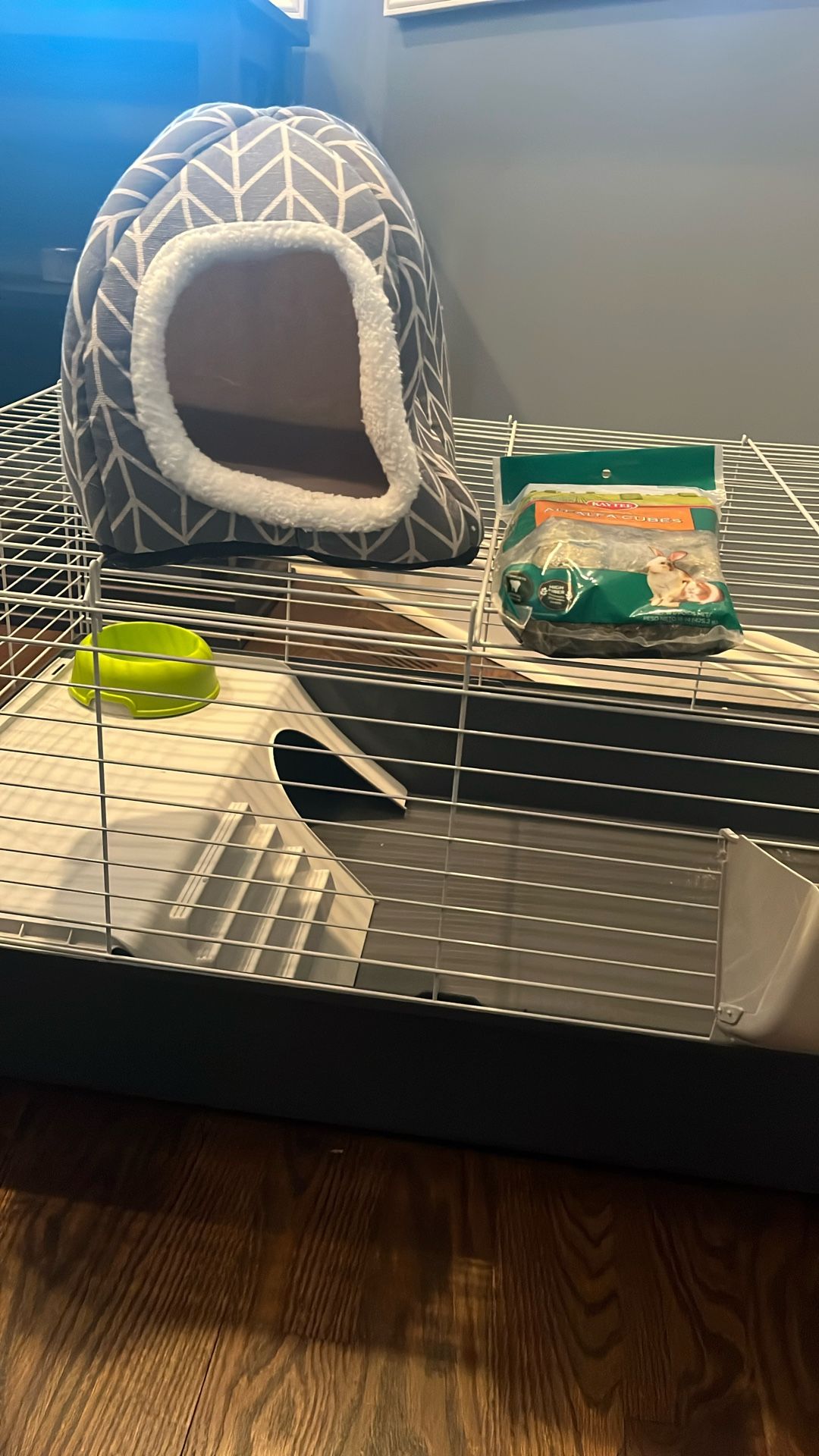 Guinnea Pig Pet Cage With Travel Bag- Extras- Great Shape!