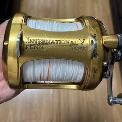 Penn International 50 VSW 2 Speed 