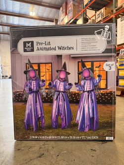 Members Mark Pre-Lit Set Of 3 Animated Witches Brand New in Box