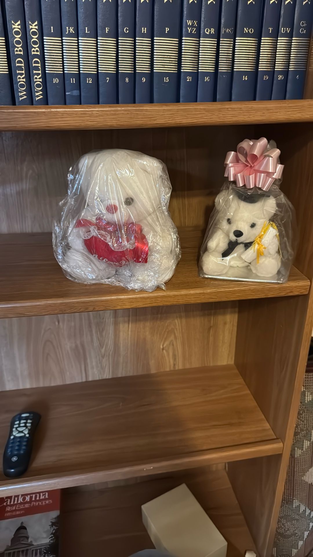 New Teddy bear/graduation/birthday gift