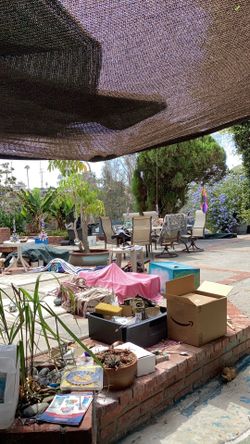 Estate sale starting Friday evening