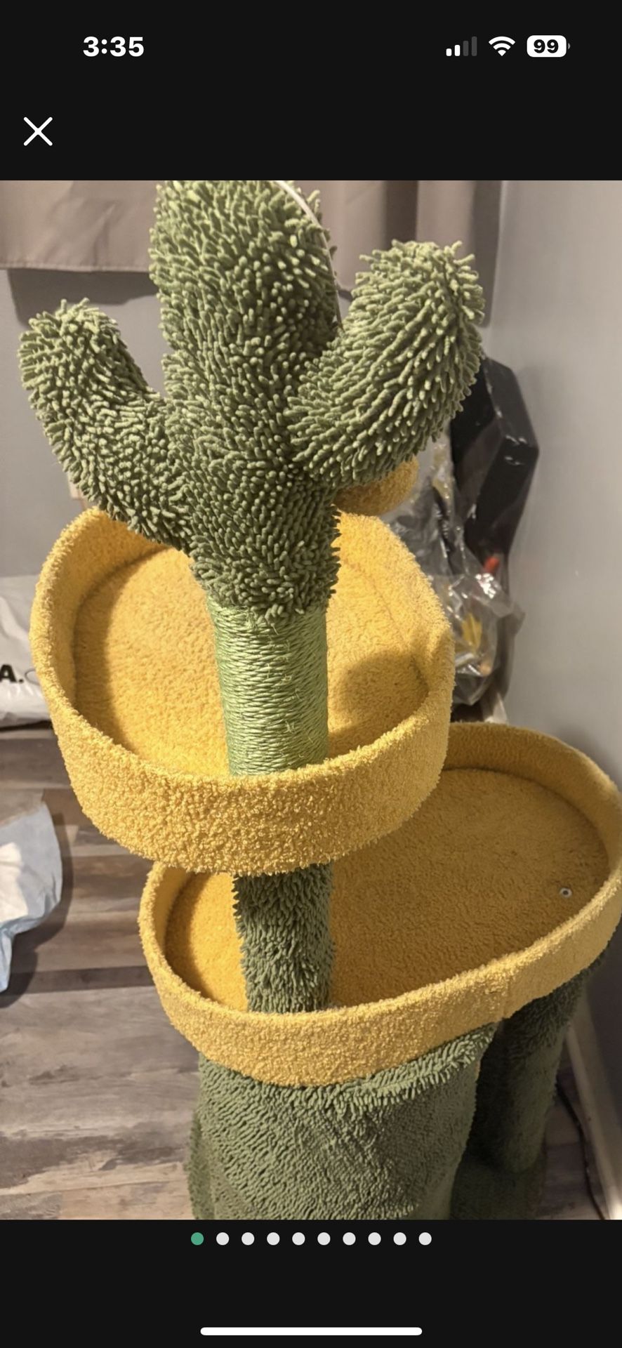 Cat Window Tree / pick up / 18.00