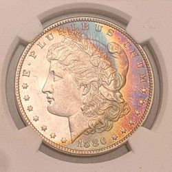 1886 MS63* Gorgeous Rainbow Halo Toning NGC STAR graded Coin Morgan Silver Dollar 