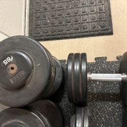 65lb Jade Rubber coated Dumbbells 