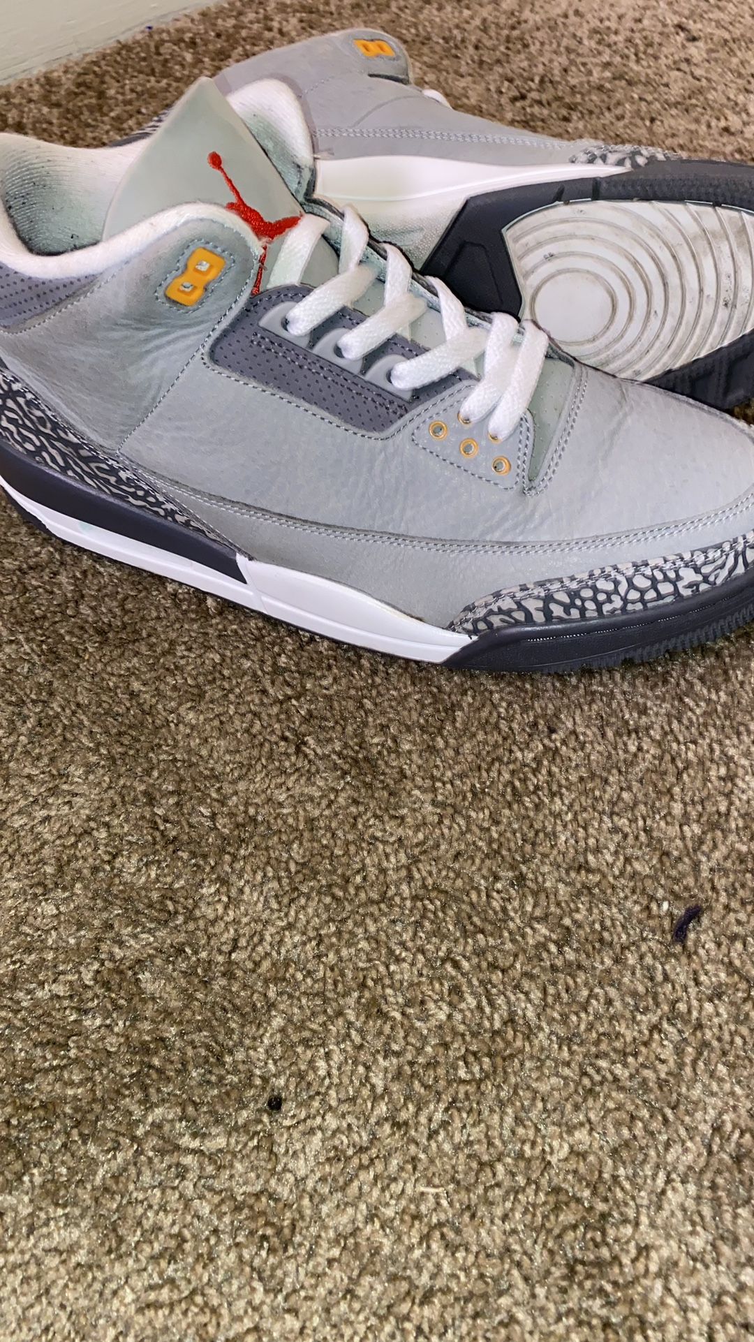 Jordan 3 Retro Cool Grey