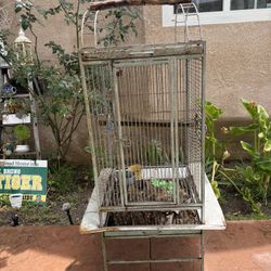 Bird Or Parrot Cage 