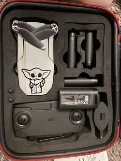 Mavic mini
