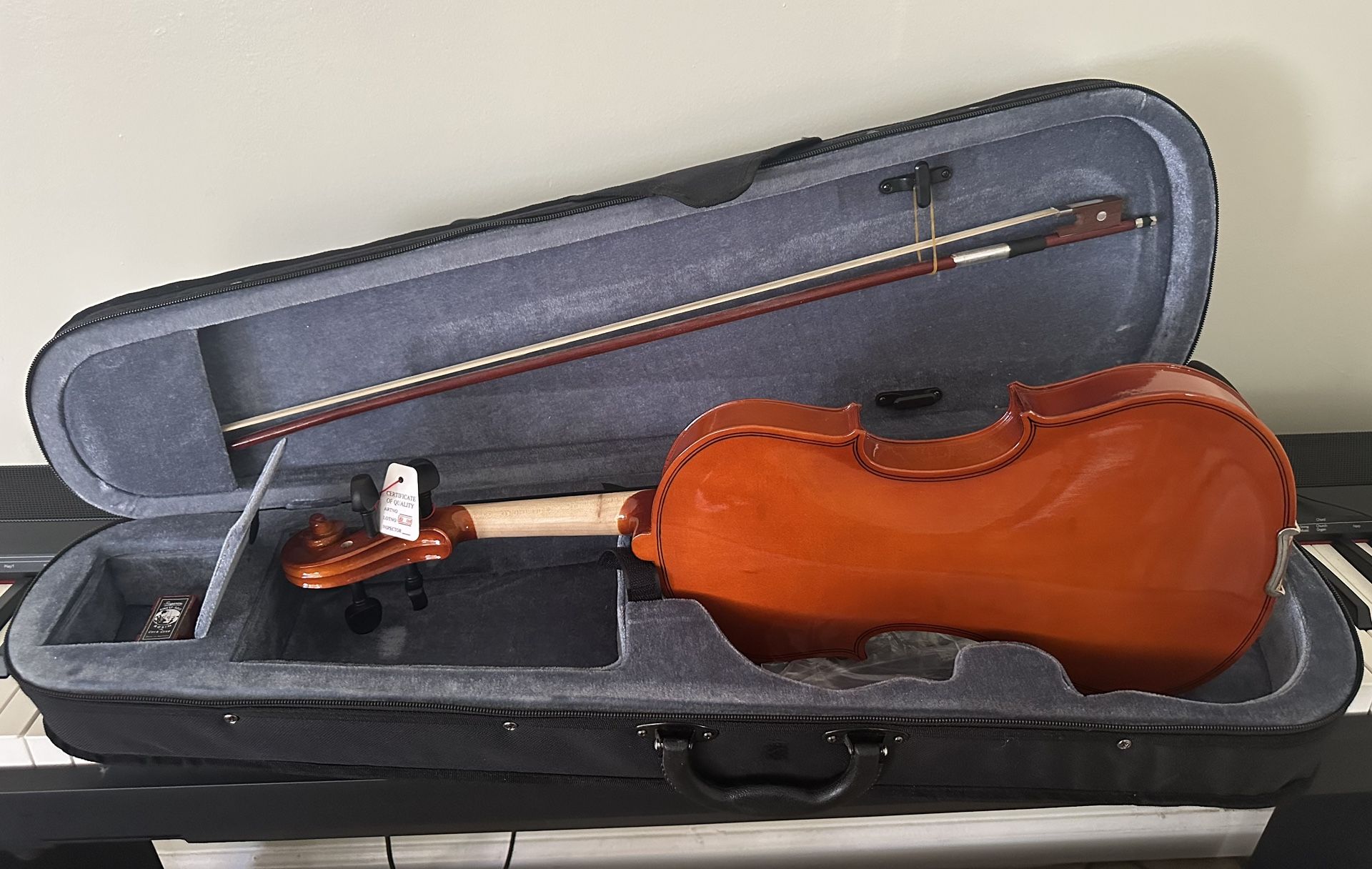 Violin 