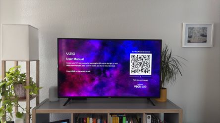TV Vizio V505-J09 49.5 inch