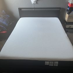 Queen Bed + Frame 