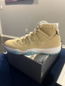 AJ 11s HTOWN Sz 14