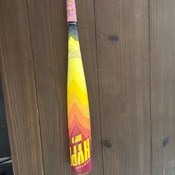 Easton hype drop -10 28in 18oz