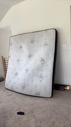 FREE King Mattress