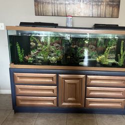 125 Gallon Fish tank + Dresser Stand, Fish And Decor