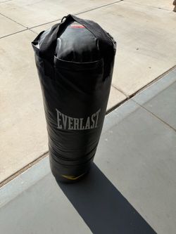 Everlast 80 lb Heavy Punching Bag & Stand – $80