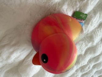 Viral squishy duck