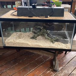 Reptile aquarium