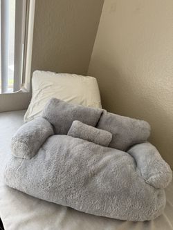 Large cat couches