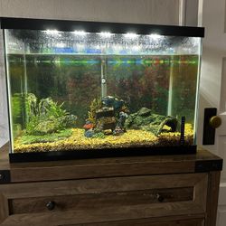 10 Gallon Reptilian And Aquatic Tank 