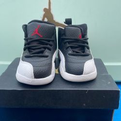 Jordan 12 Retro Td
