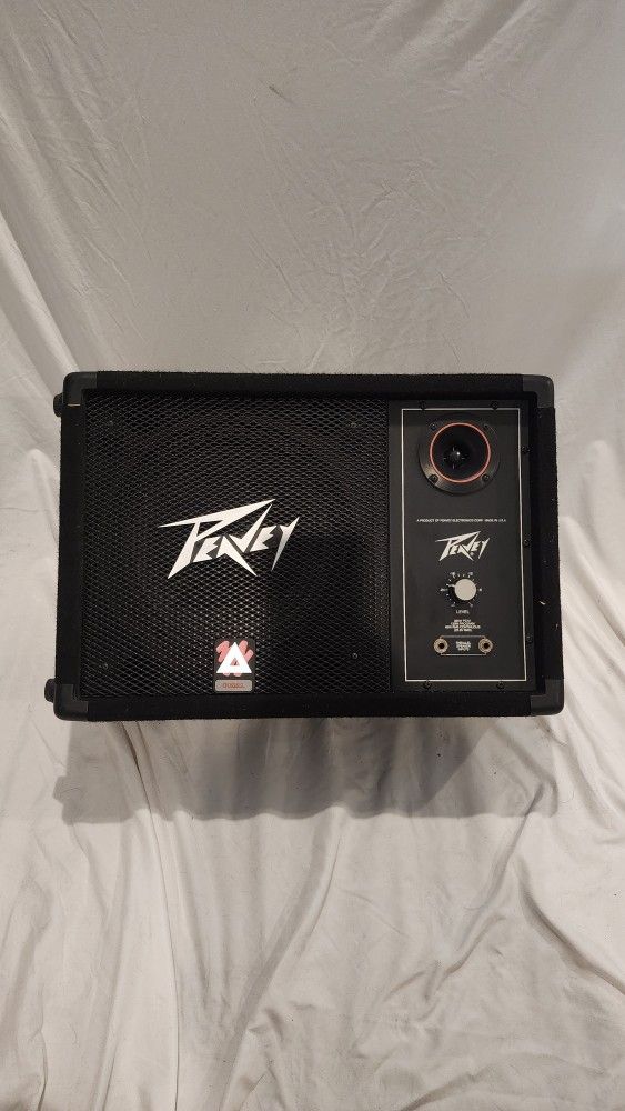 Peavey 112M Floor Monitor