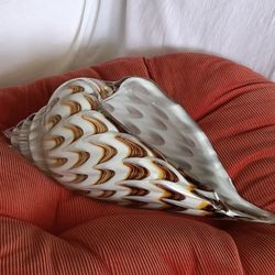 Art Glass Shell Stague 12x4.5,5
