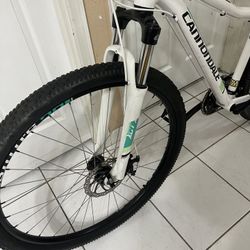 CANNONDALE 29” MOUNTAIN BIKE DUAL DISC BRAKES 17” T6 Aluminum frame UPGRADED NEW chain & 7 speed cassette FULLY TUNED UP $350 