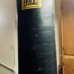 Everlast Leather Heavy Bag 100 Lbs. Purchased 40 Years Ago Paid $1,200 Absolutely NO Tears Best Heavy Bag Ever Made.  Asking $500 