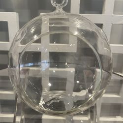 Hanging Glass Ball Terrarium - 5"