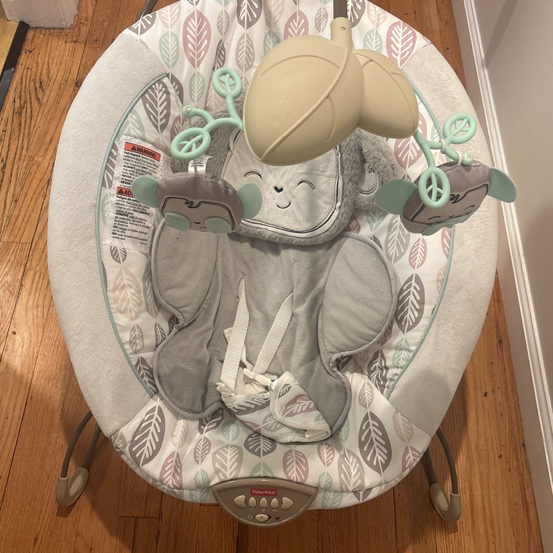 fisherPrice baby bouncer