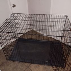 Dog kennel