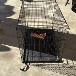 Large Collapsible Dog Crate