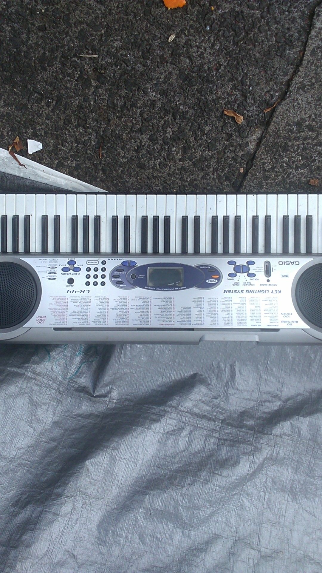 Casio Electronic Keyboard/Piano