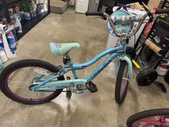 Girls’ Schwinn Bike 20”