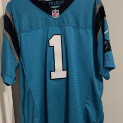 Stitched Carolina Panthers Cam Newton Blue Jersey