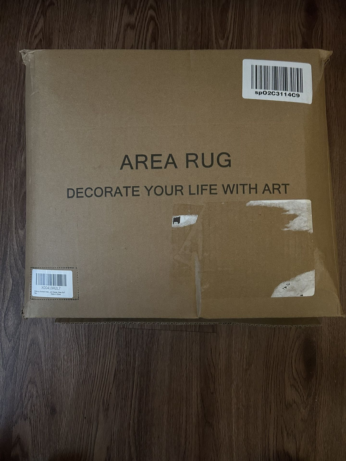 Area Rug Living Room : 5x7 Indoor Soft Fluffy Abstract Carpet for Bedroom Kitchen Dining Room Floor Washable