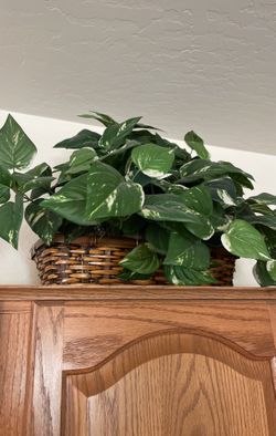 Kitchen Decorating