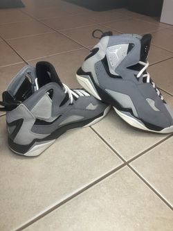 Jordan True Flight Cool Grey for Sale in Blaine MN OfferUp