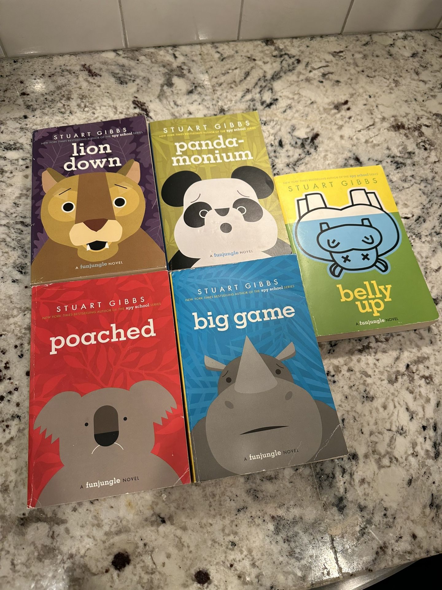 Chapter Book Set 