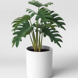 Set Of 4 Plants - Faux Philodendron Potted Plant - Threshold🪴