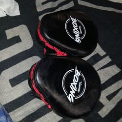 Mma and boxing mits