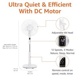 AmazonBasics Standing Floor Fan