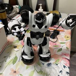 Robot With Remote