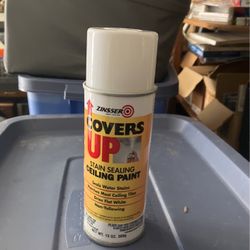 Zinsser Covers Up Stain Sealing Paint