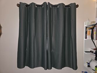 Dark Sage Green Curtains & Pale Ivory Sheer Panels, 2 sets (for 2 windows)